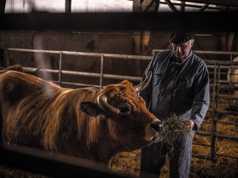 rencontre avec fermier