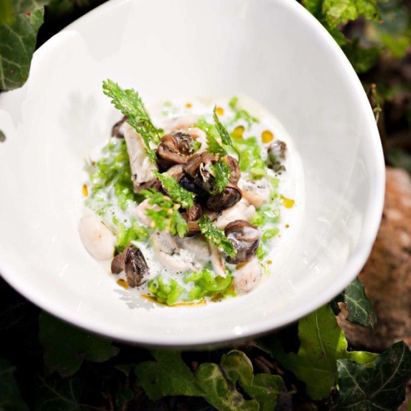 Risotto carnaroli au vert, cuisses de grenouilles et escargots de Bourgogne, crème d’ail doux