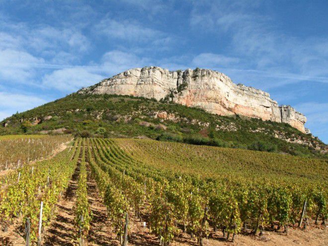 Le premier week-end de juin, les vignerons de l’appellation fêteront dans une ambiance festive conviviale, les 40 ans de leur Cru. Le premier week-end de juin, les vignerons de l’appellation fêteront dans une ambiance festive conviviale, les 40 ans de leur Cru.