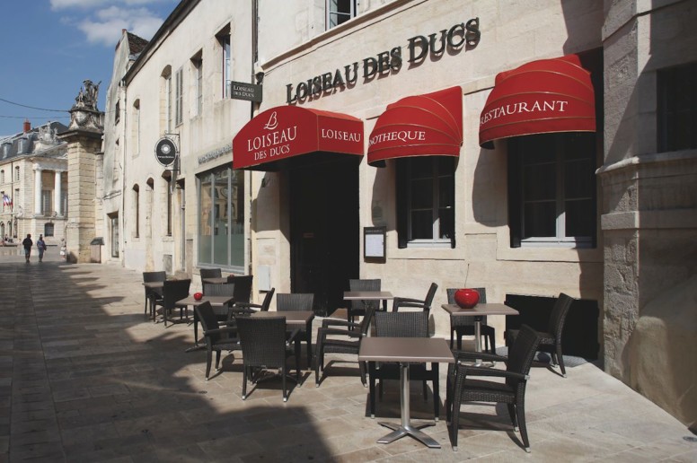 Loiseau des Ducs