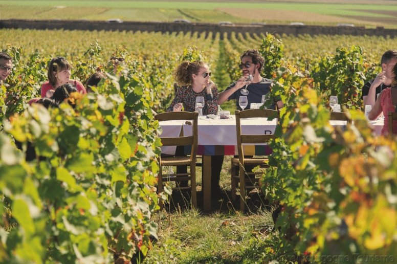 Pique-nique dans les Vignes
