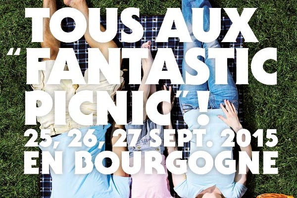 fantastic picnic 2015