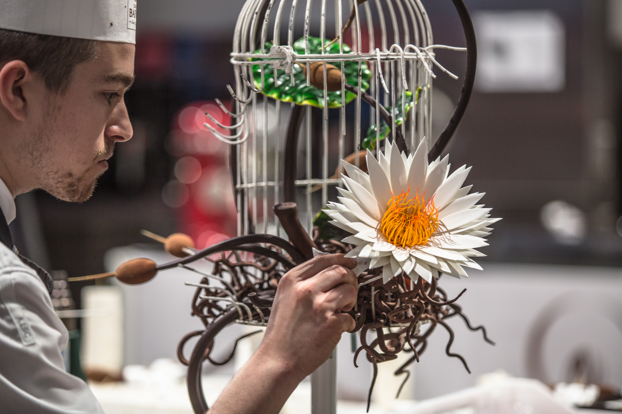 Cage à oiseau en chocolat sur le thème, Inspiration de la nature par Vincent Vallée_© World Master Chocolate