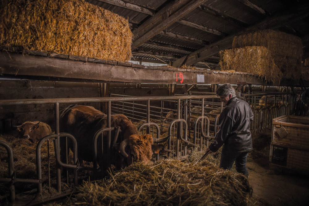 Paulette aide son mari au quotidien, du matin au soir, à la ferme.