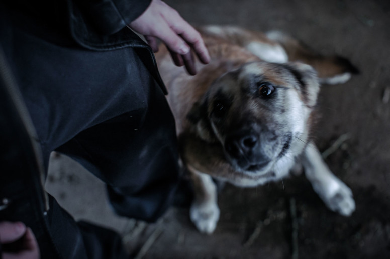 C&rsquo;est en couple et accompagnés de leur chienne que Christian et Paulette travaillent à la ferme.
