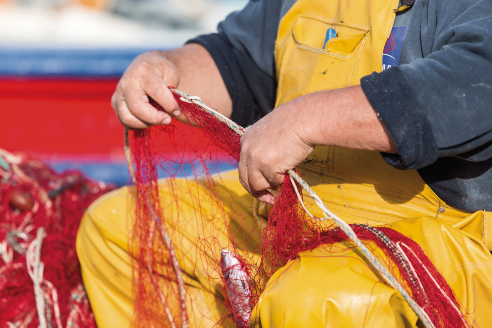 De retour de pêche, un second travail commence pour George Bollani : retirer les poissons qui se sont prise dans les mailles du filet.
