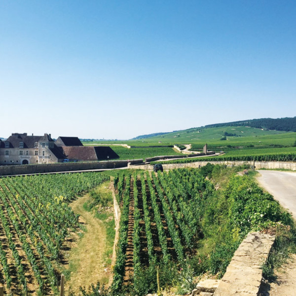 A chacun son escapade