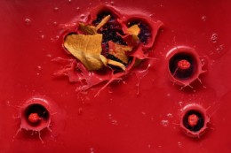 Jonathan thévenet, photographe culinaire à Lyon. Artiste qui a créer les lyonnaiseries