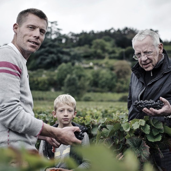 Domaine Jean-Luc et Paul Aegerter producteur éleveur négociant de vin rouge et blanc en Bourgogne. Présent à Nuits Saint Georges