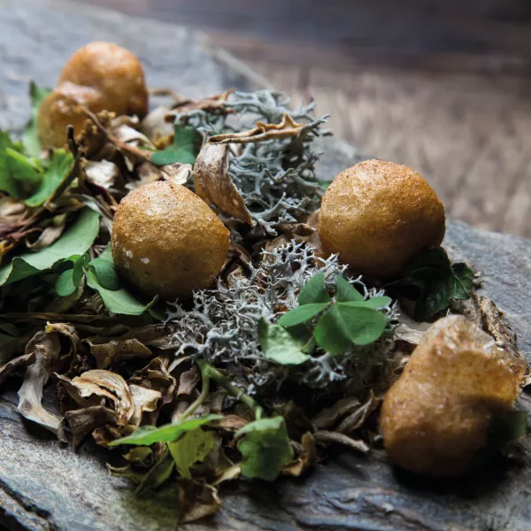 Escargots de Dienay frits au levain - Thomas Collomb