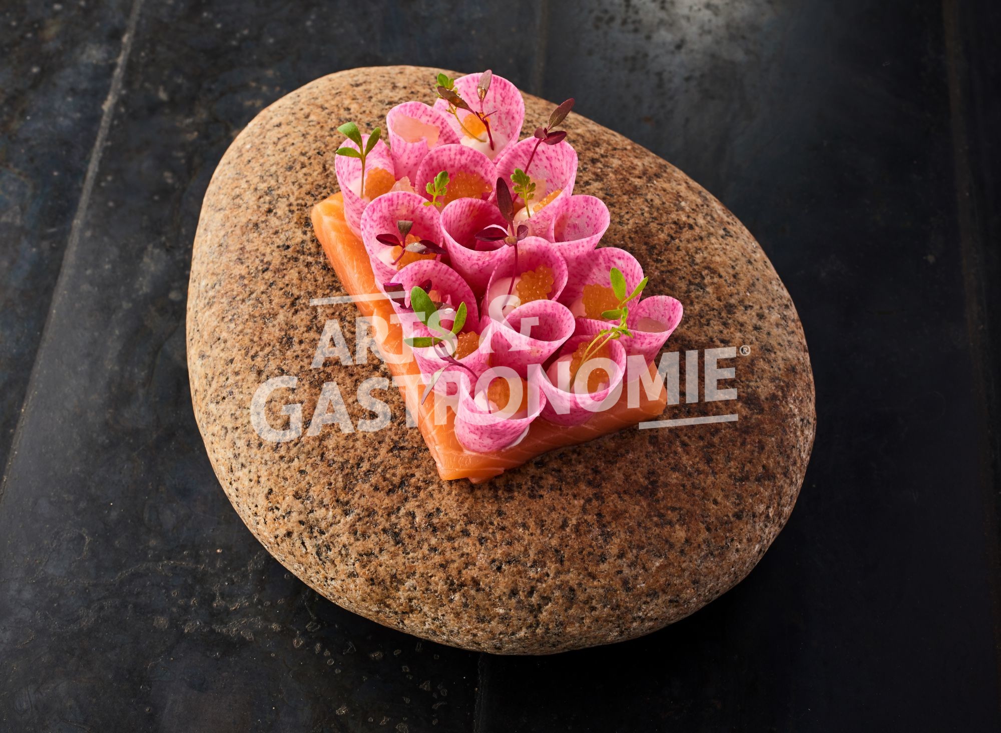 Tartine De Saumon D Ecosse Mi Cuit Arts Gastronomie