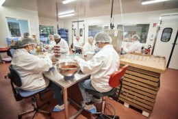 Epicerise, marque d'épicerie fine de l'enseigne Rhône-Alpes de Cerise et Potiron. Produits assemblé dans le Rhône par des travailleurs handicapés. Enseinge de fruits et légumes également.