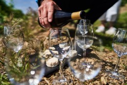 Gyropodes de Condrieu. Balade en segway dans les vignes de Côte Rôtie, beaux paysages, dégustations de produits et vins locaux autour de vienne. Plusieurs circuit, idée sortie en famille ou amis