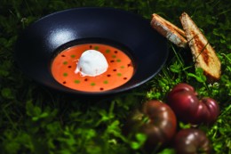 Restaurant Là Haut sur la Colline, groupe E Hôtel, sur le mont cindre à côté de Lyon. Produit de marché et cuisine familiale, jeux pour enfant.