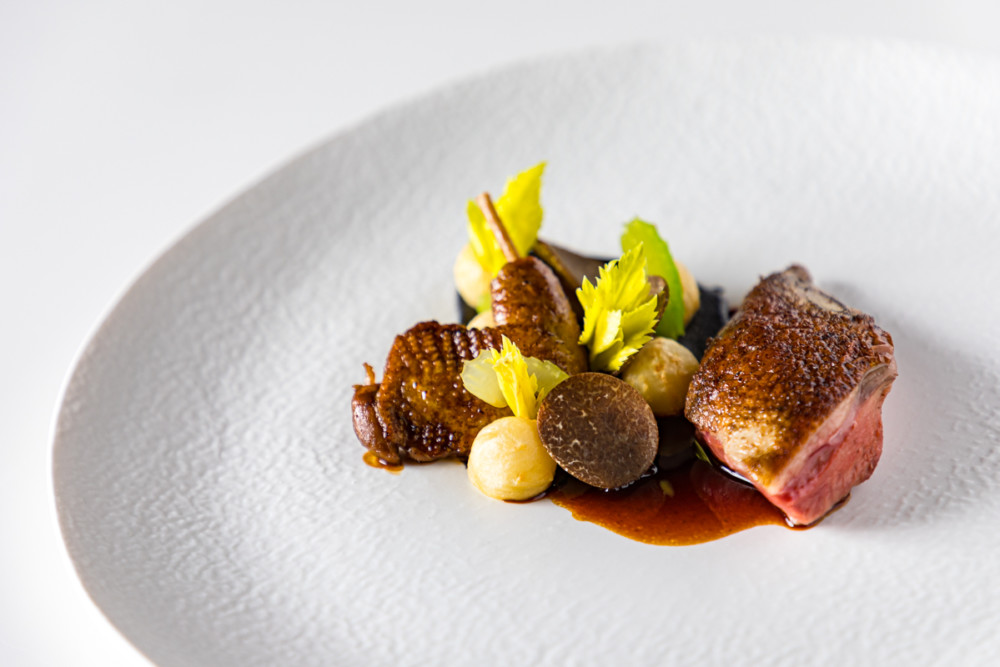 Pigeon, céleri et truffe d’hiver