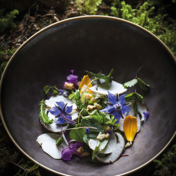 Salade d’herbes & fleurs sauvages, cèpes à cru