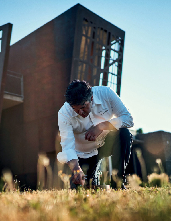 Serge Vieira en pleine cueillette au Château du Couffour