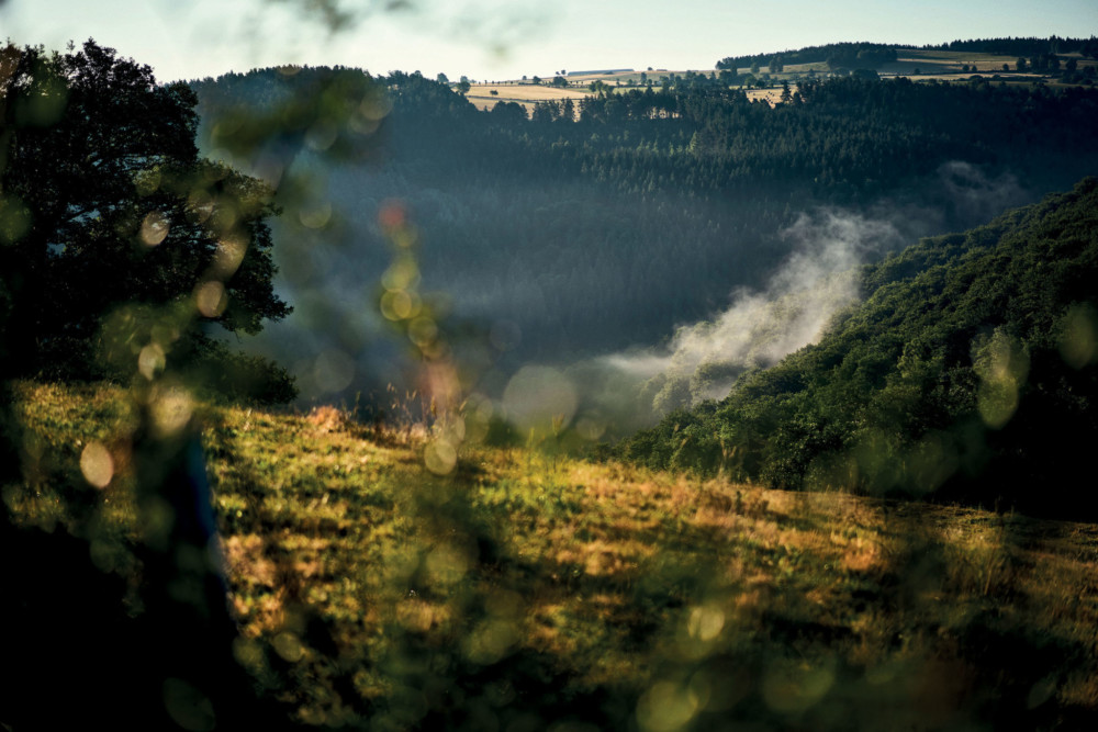 Au Château du Couffour, le spectacle d’une nature généreuse s’accorde aux plaisirs de la dégustation.