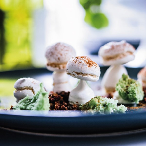 meringue_poire_sponge_cake_matcha_et_cacao