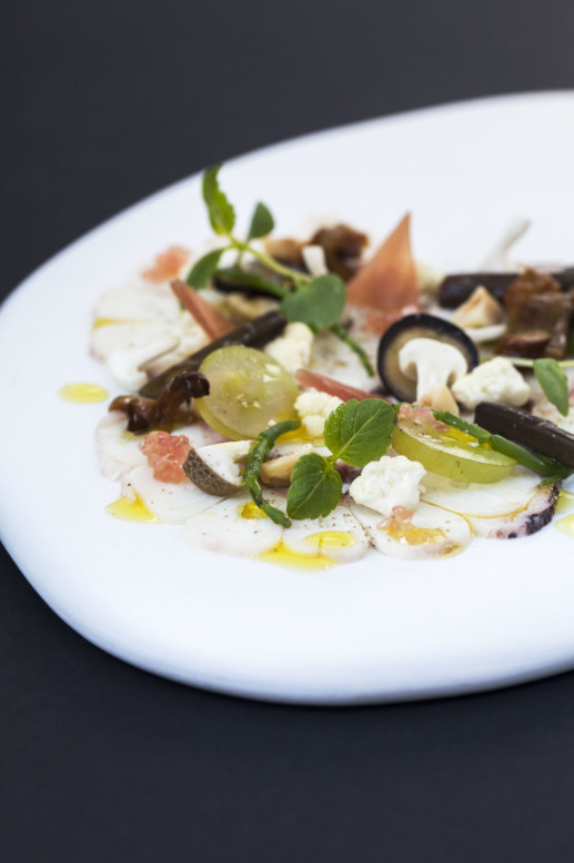 Poulpe en transparence, saveurs de sous-bois
