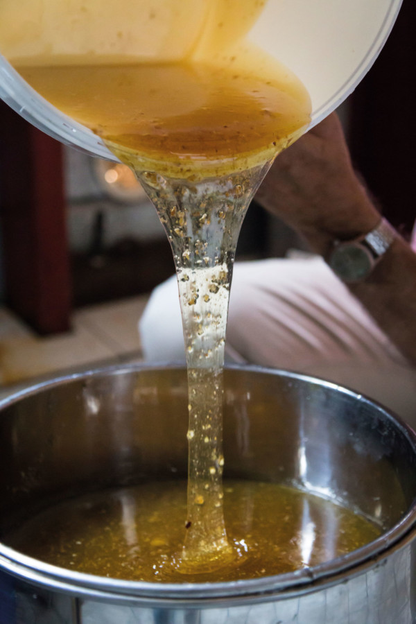 Une ruche contient neuf cadres qui peuvent contenir jusqu’à 1,5 kg de miel.