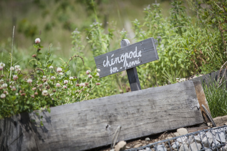 Le potager de la Maison des Bois