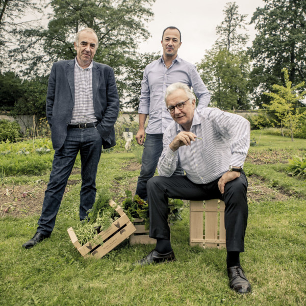 Les légumes du potager