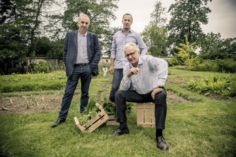 Les légumes du potager