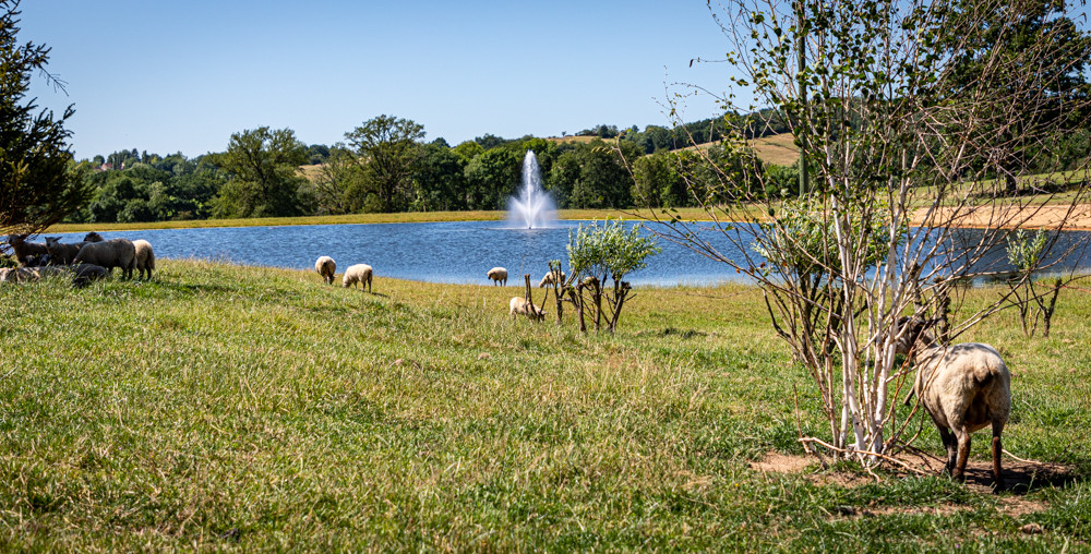 Domaine de Rymska