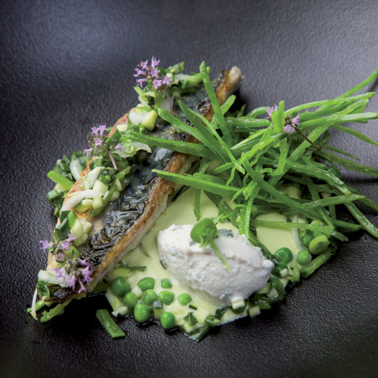 Filet de maquereau - à découvrir sur Arts & Gastronomie