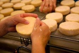 GESTE TECHNIQUE FROMAGERIE BERTHAUT EPOISSES FRANCE