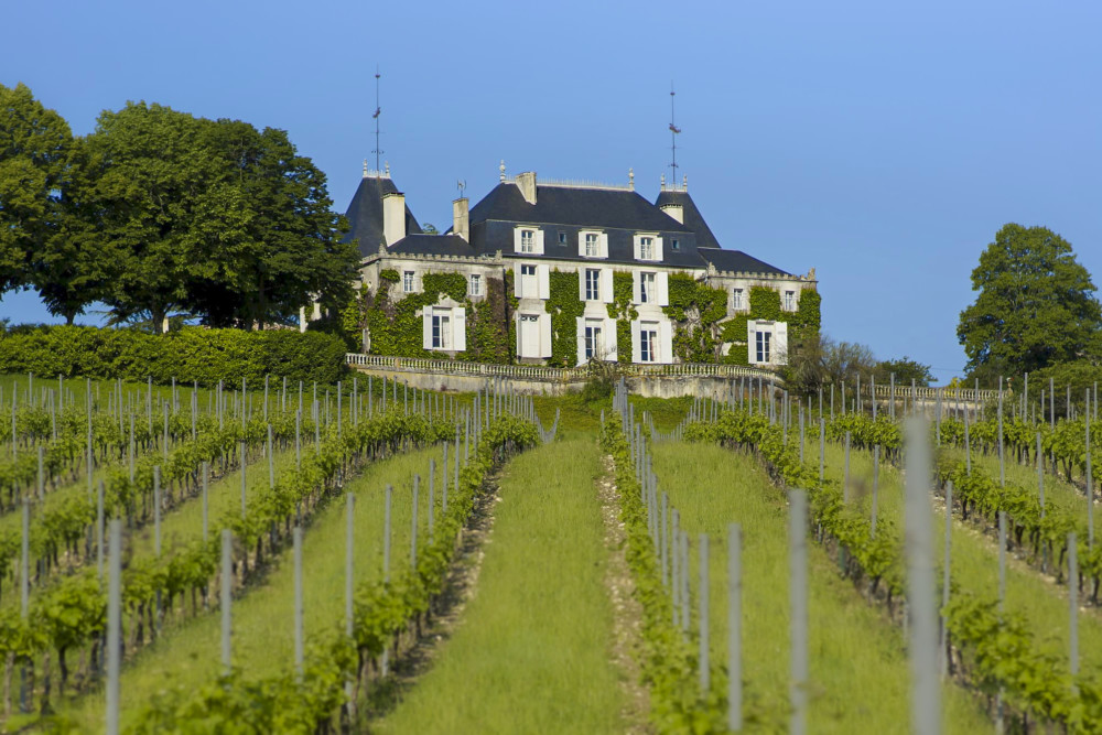 Château de Parenchère vue des vignes au printemps