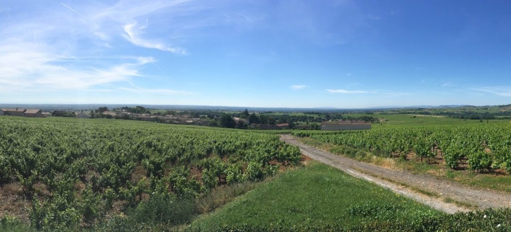 LE CLOS DU GRAND BOIS DESTINATION SAONE ET LOIRE