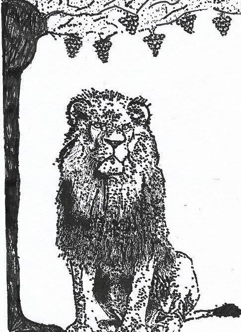 dessin jimmy lion raisins