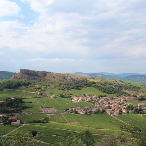 Domaine Corsin Saône et Loire