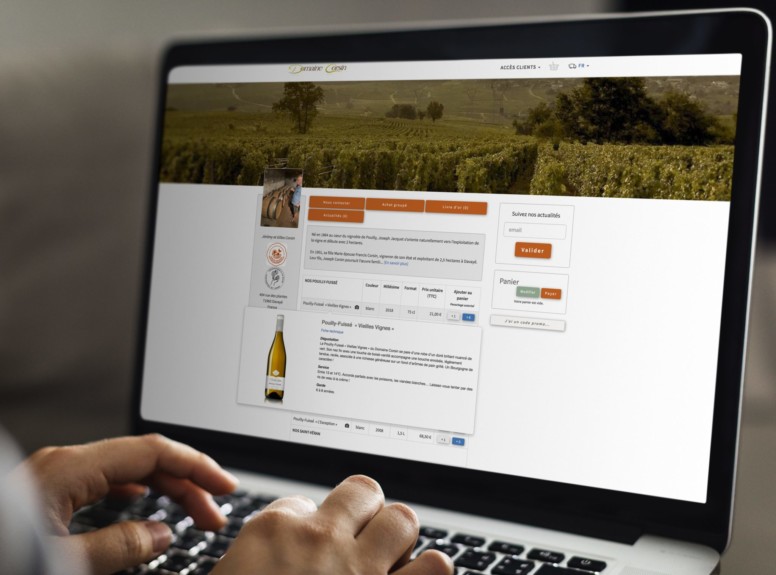 Domaine Corsin Saône et Loire