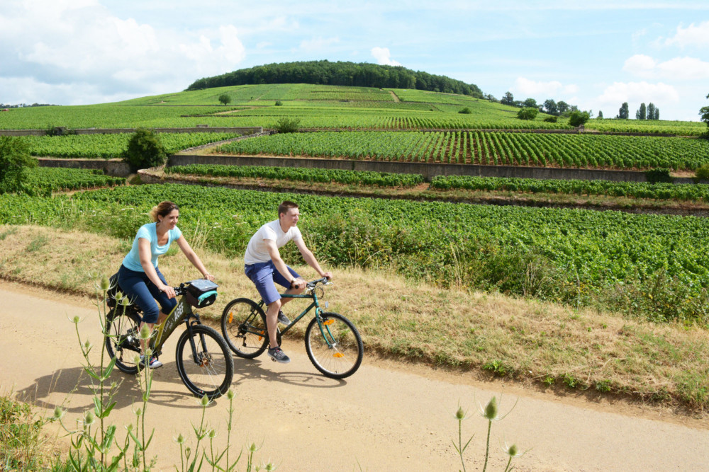Côte d'Or Tourisme