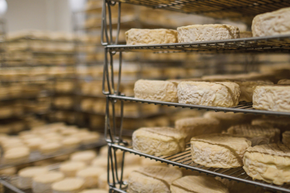 Visite de la fromagerie Gaugry