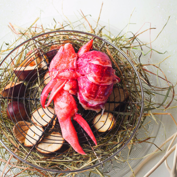 Homard breton fumé aux éclats de châtaigne, butternut acidulé