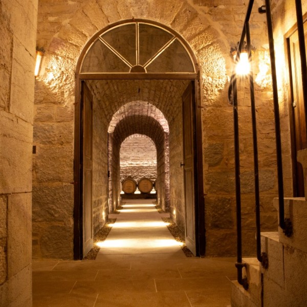 Cuverie et caves