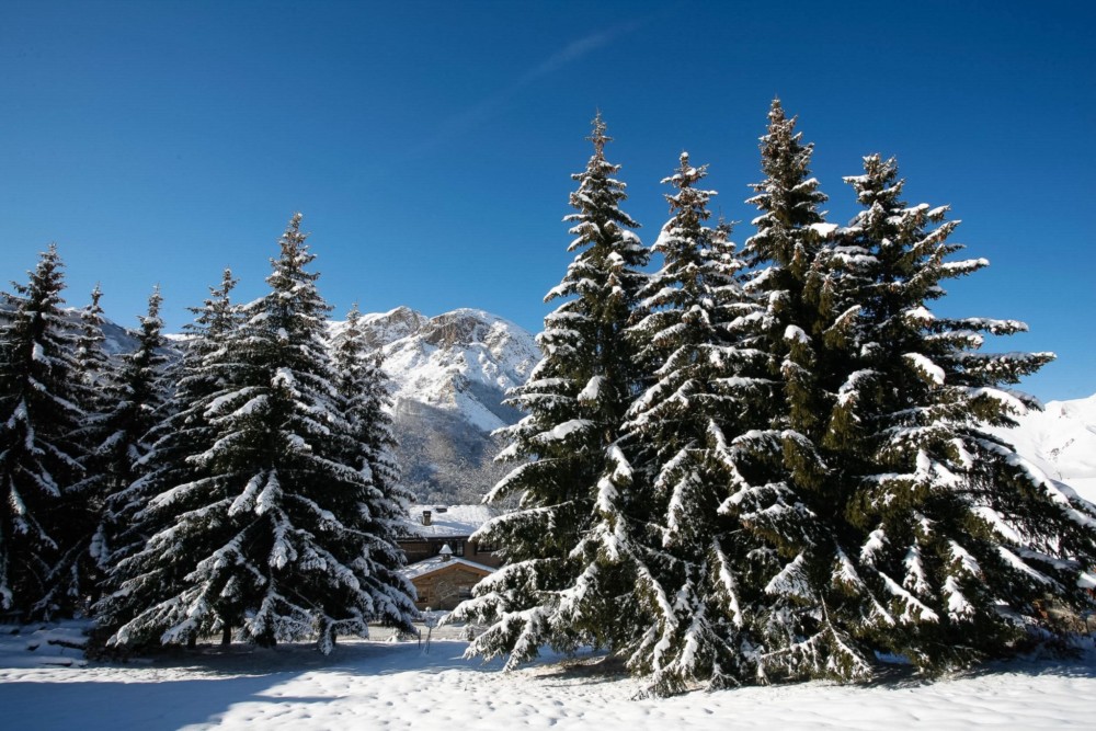 Piste de Ski - La Bouitte