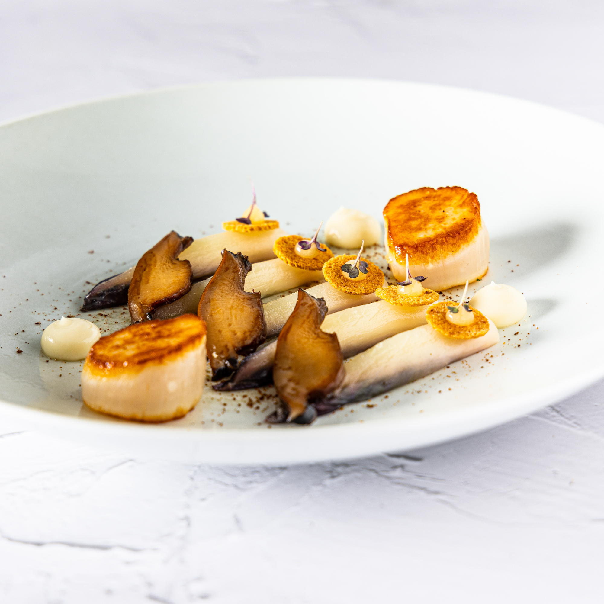 Recettes Ormeaux : Saint-jacques &amp; Ormeaux