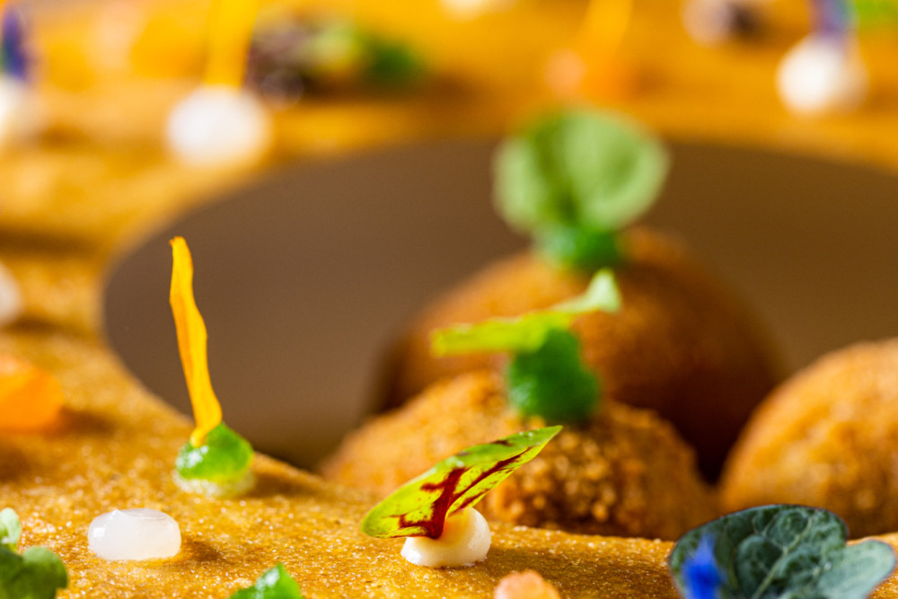 L'escargot de Bourgogne en persillade  dans sa coquille croustillante, fricassé de  choux au lard, velouté d'ail à la truffe