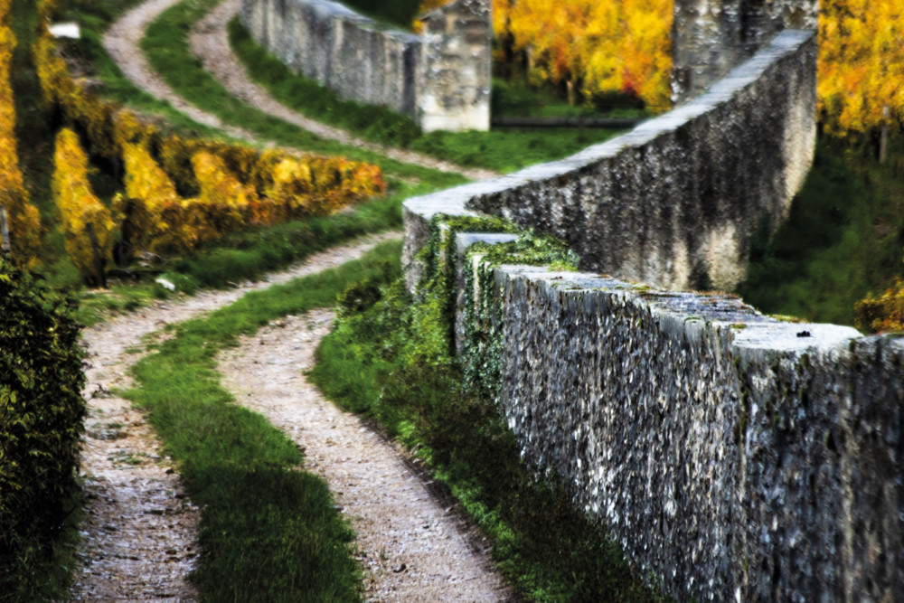 Vivez un séjour 100 % Bourgogne