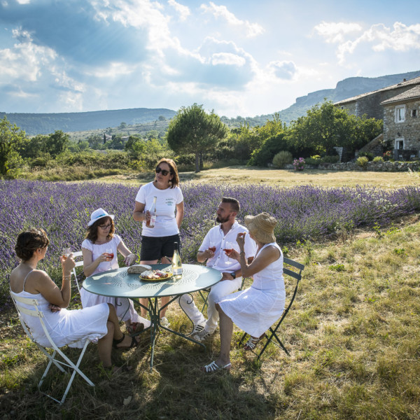 les vins d’Ardèche