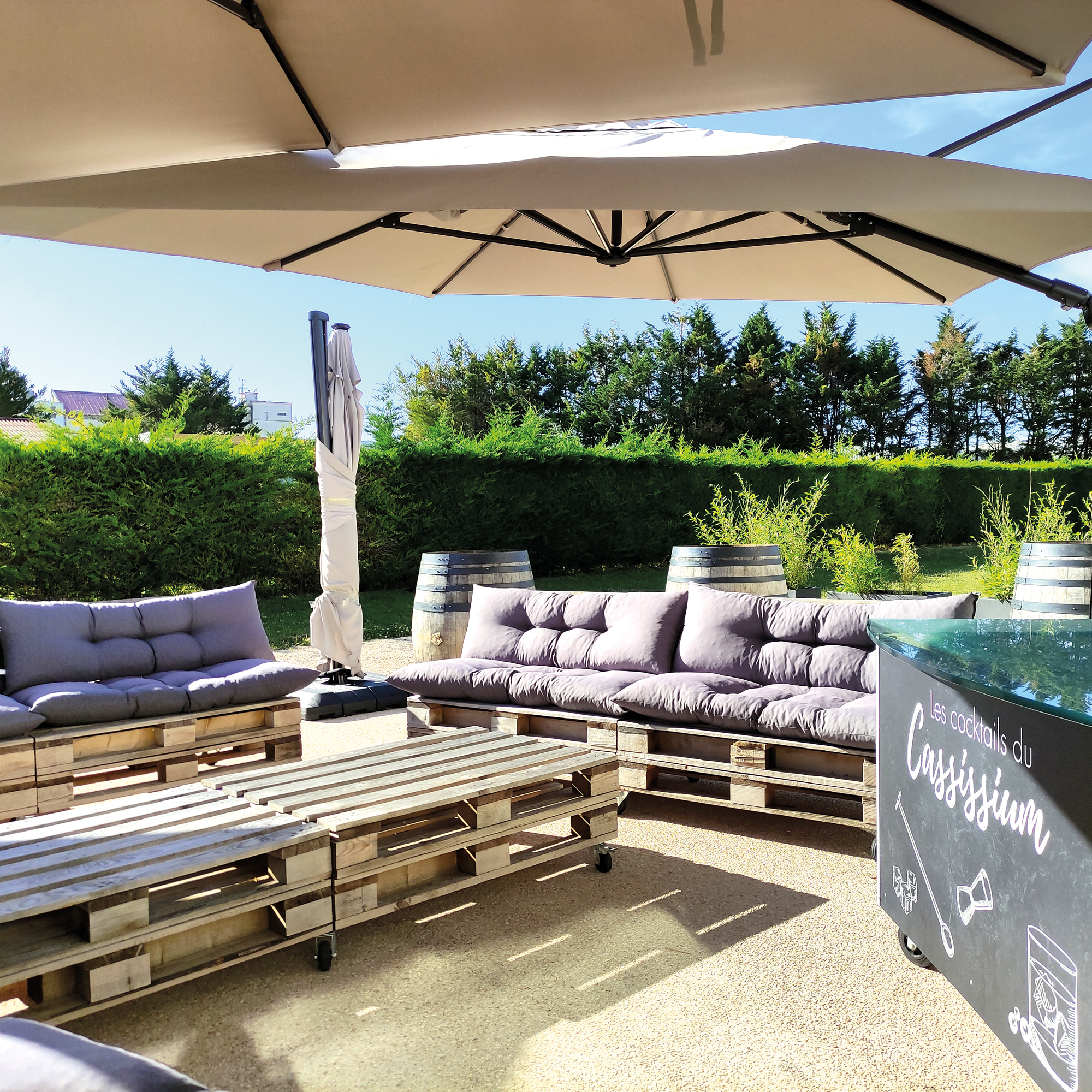 Le Cassissium sous le soleil de Nuits-Saint-Georges…