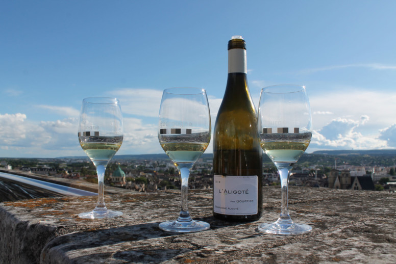 Atelier vins au sommet