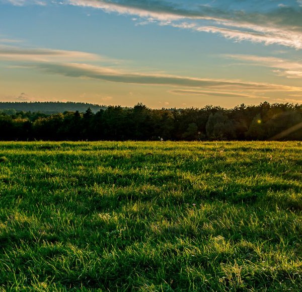 Balades en Bourgogne