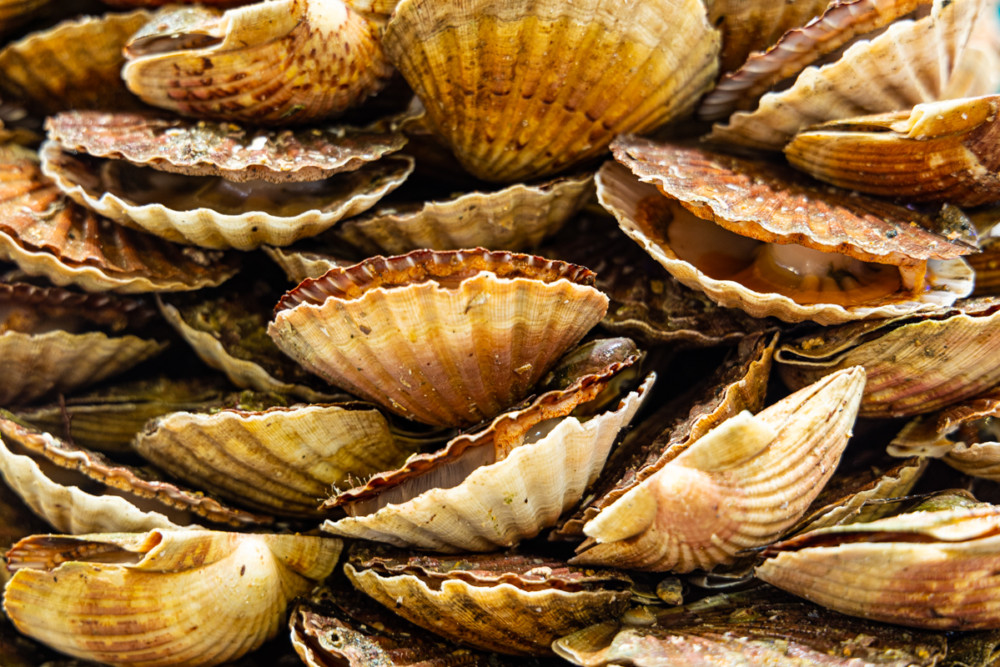Fêtes gourmandes
