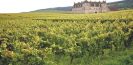 La Côte-d'Or en balade